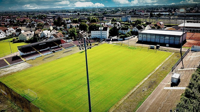 勇夺金靴，法比奥赛后社媒：感谢队友以及每位愿意相信我的人