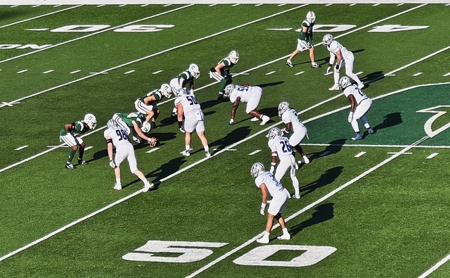 不可忽视的 不可忽视的