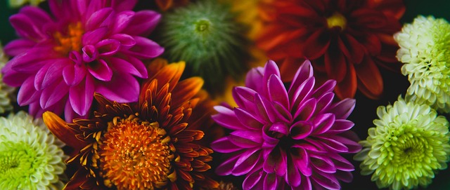 察球队的表 察球队的表