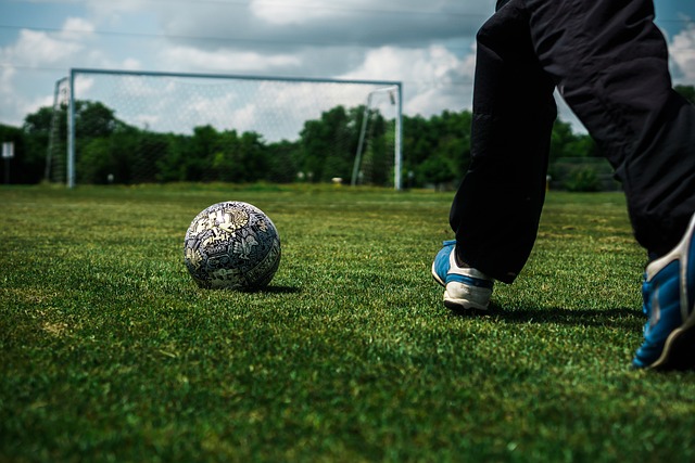 尽管表面上 尽管表面上