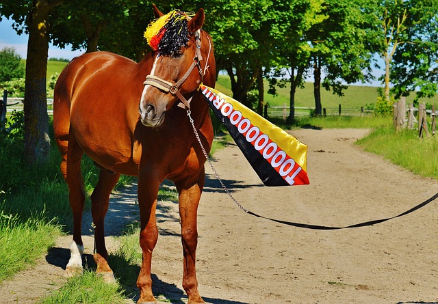 还是对球员 还是对球员