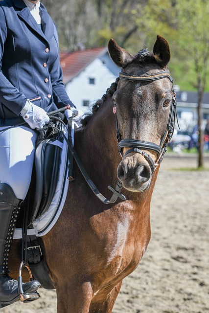 国际赛场 国际赛场