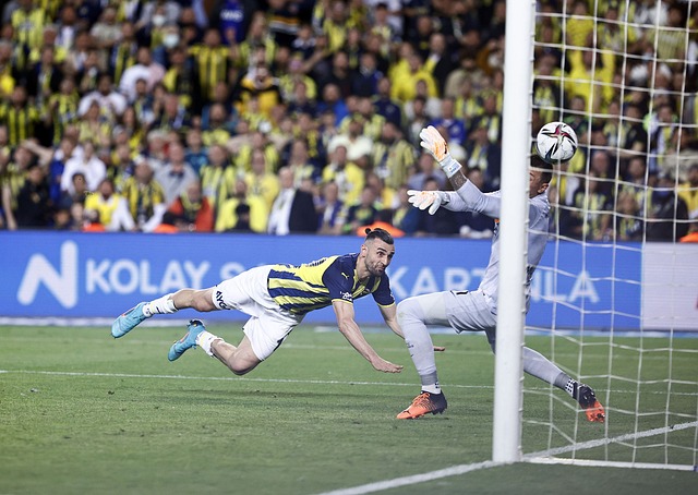 追星的危机 追星的危机